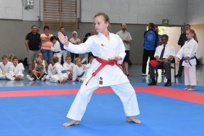 Die neunjährige Johanna Helene Flemming (Karateverein Budokan Magdeburg) bei ihrer KATA. 